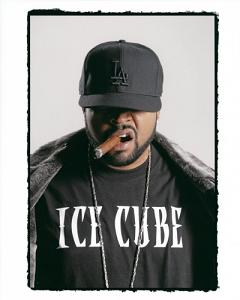 icecube3
