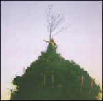 Black to Comm_Alphabet 1968 Black to Comm_Alphabet 1968