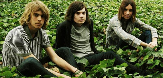 tame