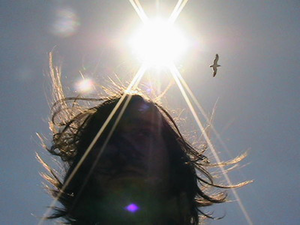 airbird