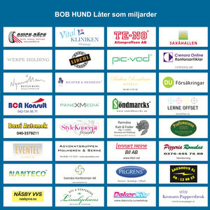 bob hund bob hund