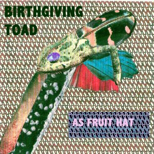 Birthgiving_Toad_-_As_Fruit_Hat_artwork Birthgiving_Toad_-_As_Fruit_Hat_artwork