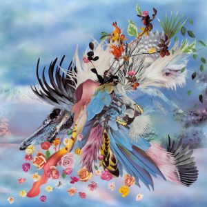 Album cover Zoo Album cover Zoo