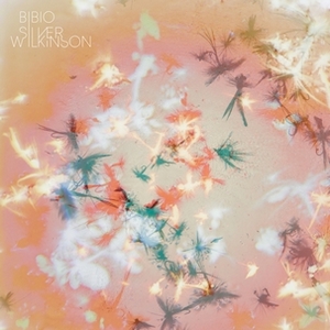 bibio - s w bibio - s w